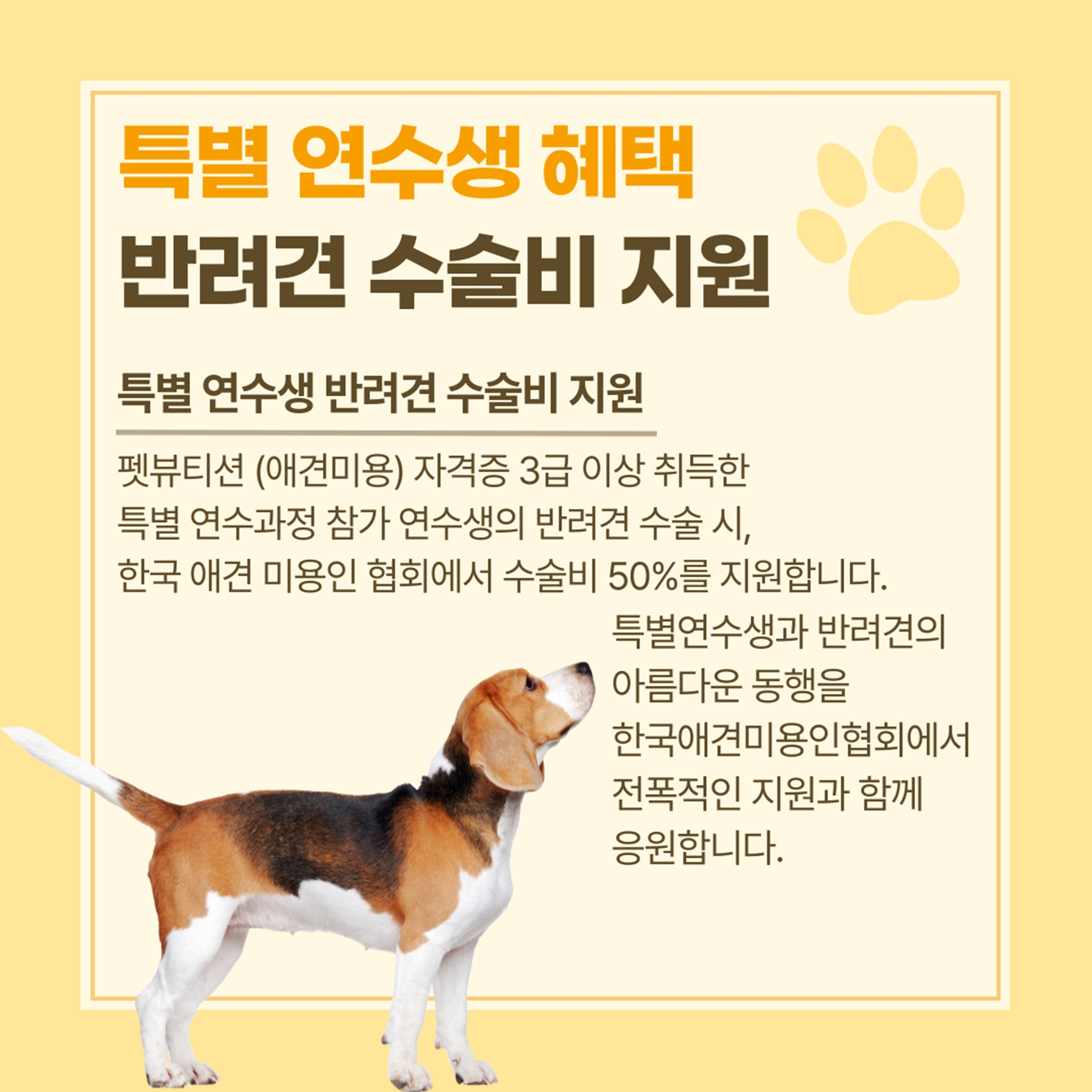 이바우펫 애견미용학원
