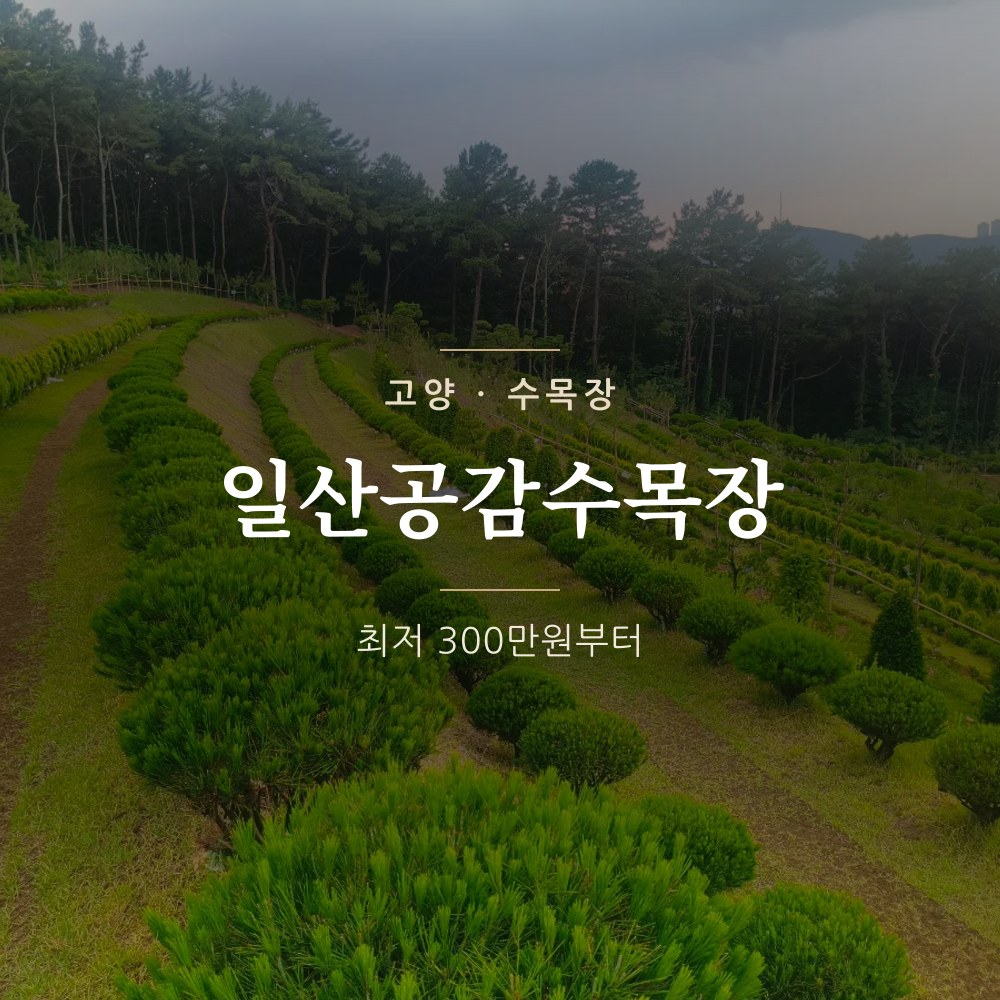 일산공감수목장 | 고양&middot;일산 수목장 안내
