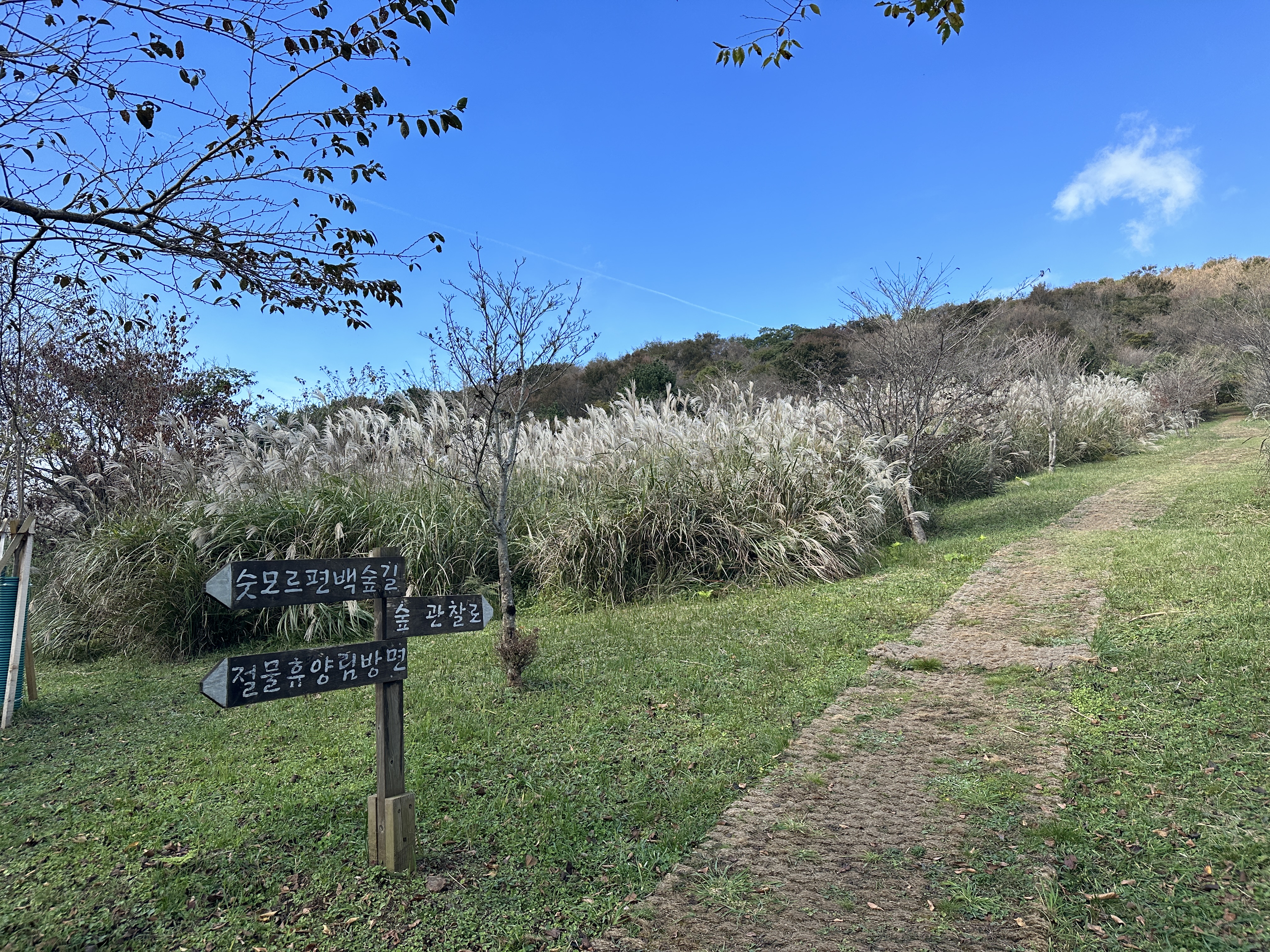 거친오름 산책로