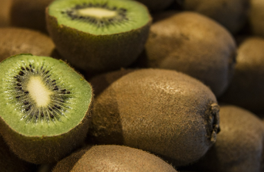 키위 효능