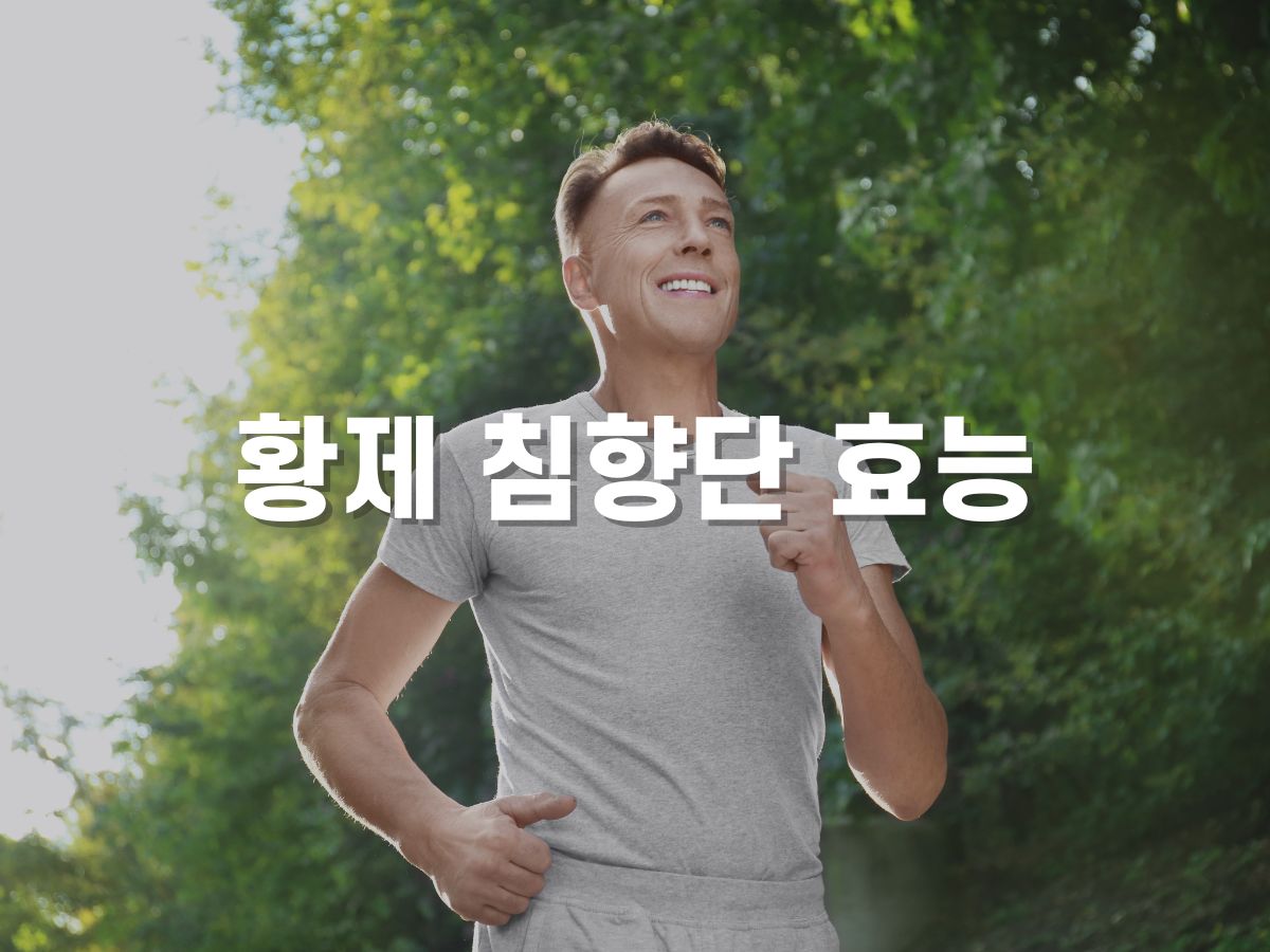 황제 침향단 효능