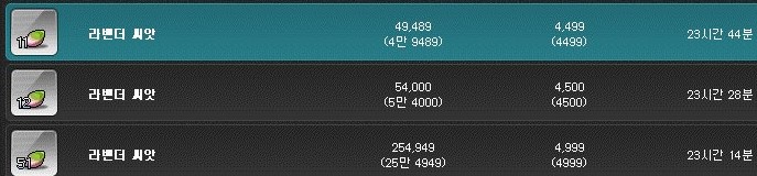 라벤더 씨앗