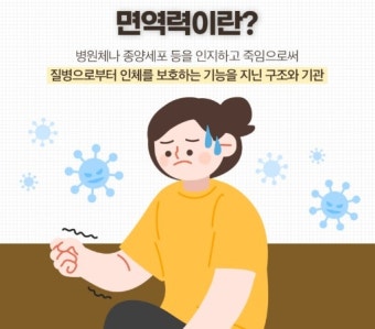 면역력을 높이는 방법