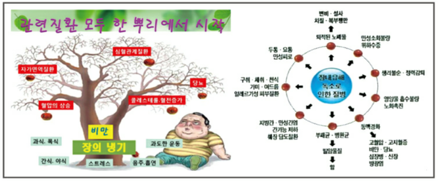 장내세균의 균형