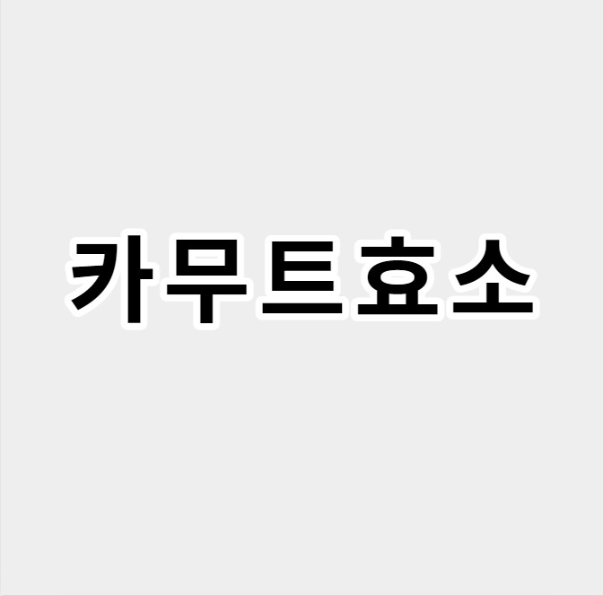 카무트효소