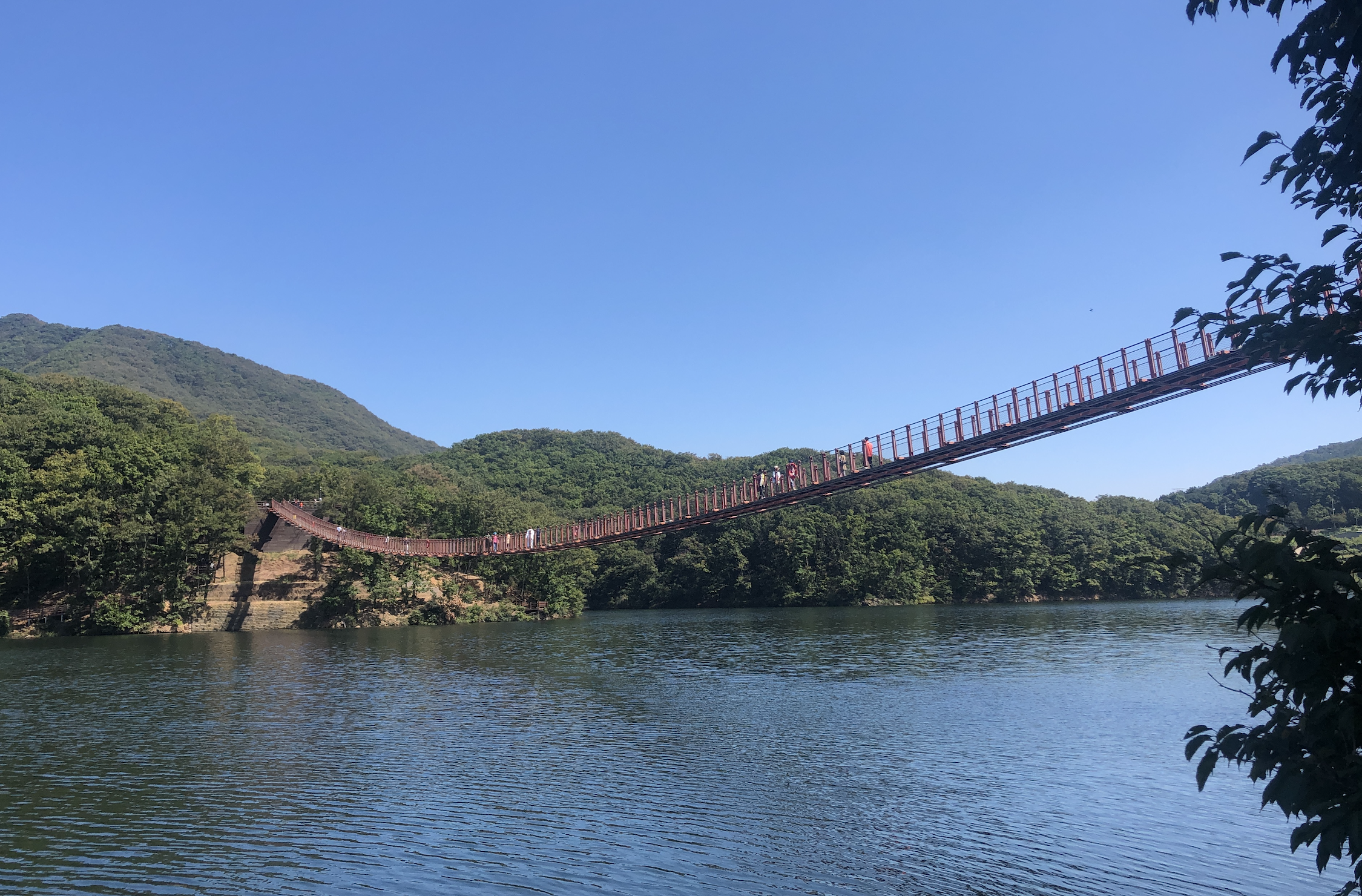 파주 마장호수 출렁다리