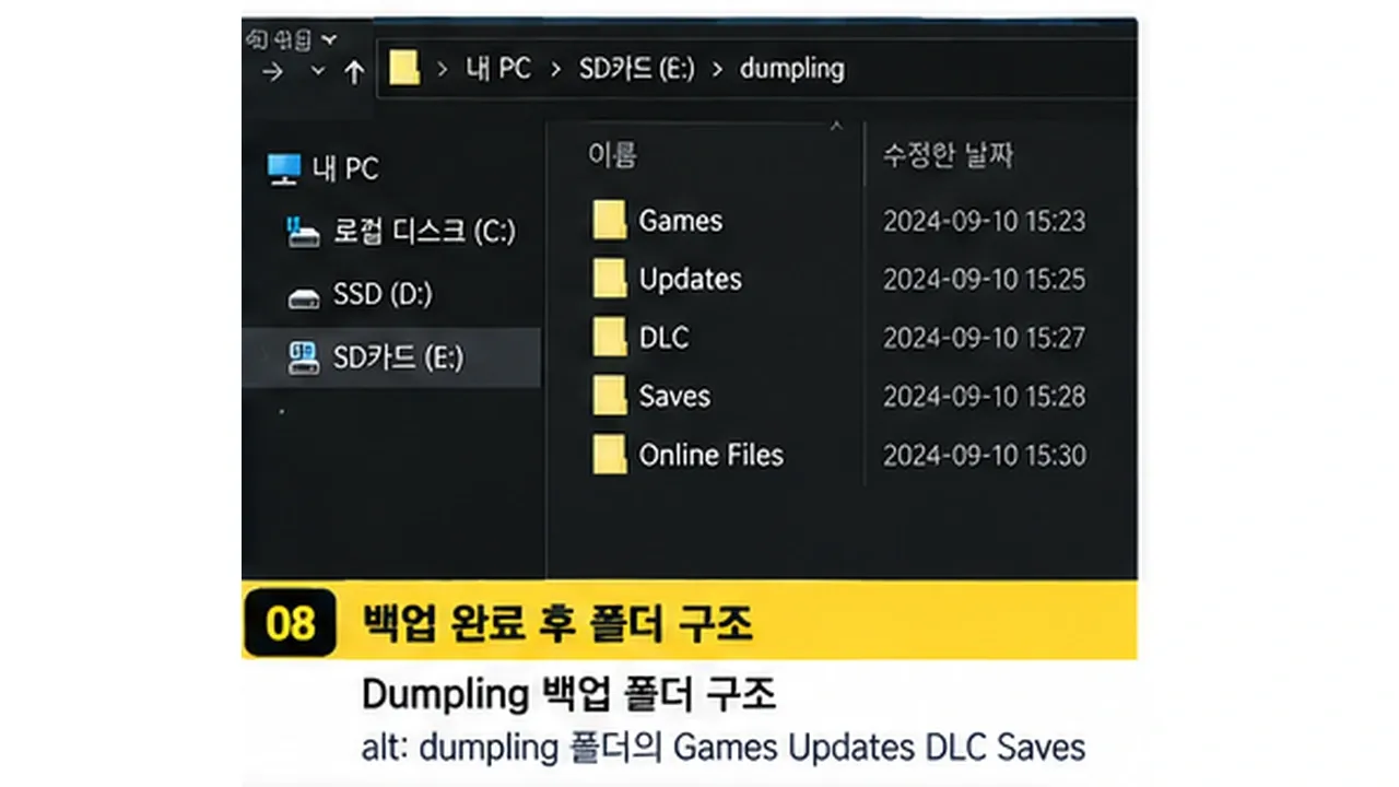 Dumpling 백업 완료 Games Updates DLC Saves 폴더 구조