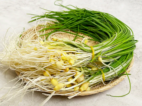 달래 이미지사진