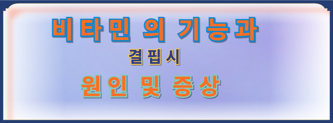 비타민 기능