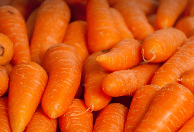 탈모에 좋은음식