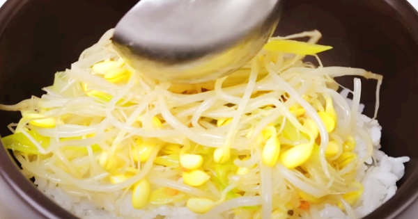 콩나물 올리시오