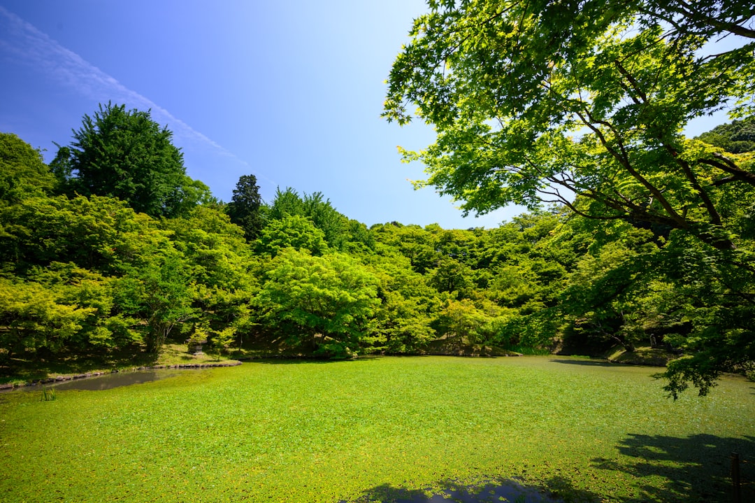 Park.