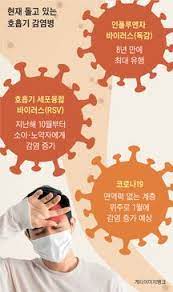 HMPV 증상&amp;#44; 호흡기 질환&amp;#44; 중국 바이러스 확산