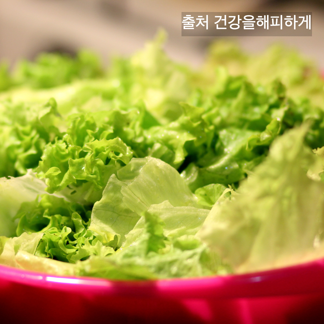 상추의 효능 부작용 칼로리 다이어트할 때 꼭 알아야 할 상극 음식