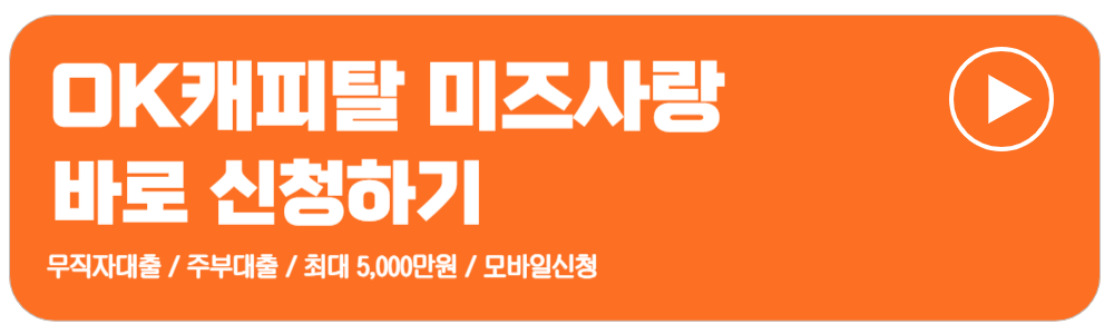 비상금대출중복