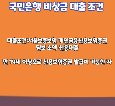 국민은행 비상금 대출 조건