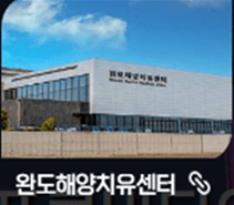 서울에서 완도 가는길