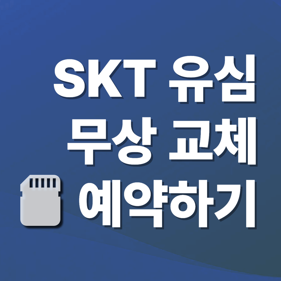 SKT 유심 교체