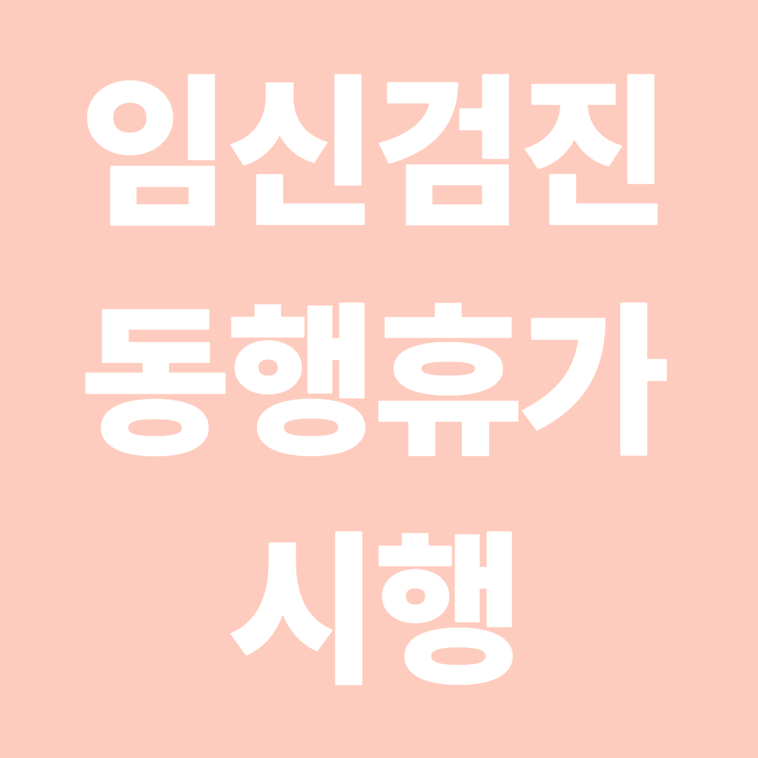임신검진 동행휴가 시행