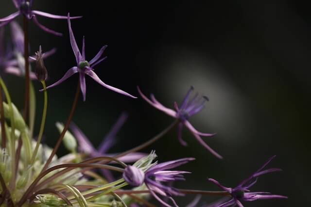 2025 울산불꽃축제 연기 날짜 및 일정