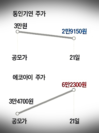 에코아이 주가