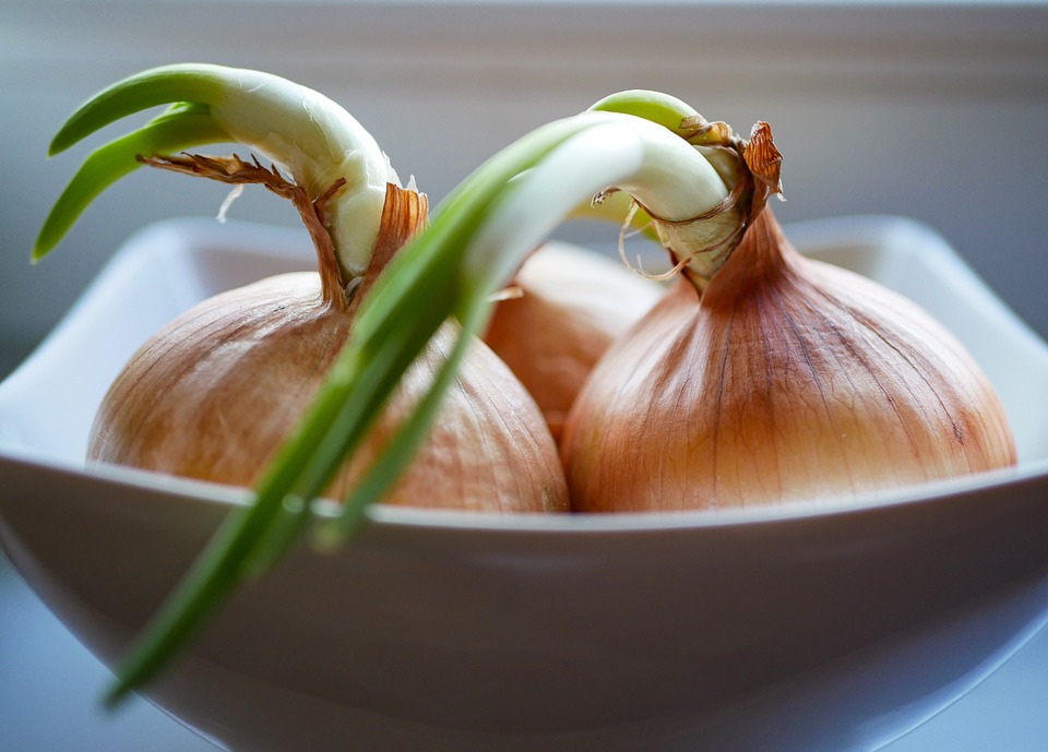 글루타치온 많이든 음식