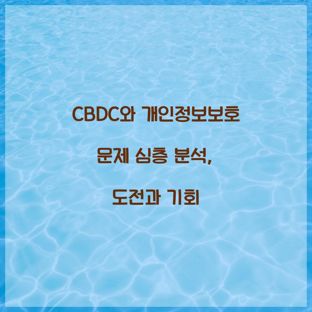 CBDC와 개인정보보호 문제 심층 분석