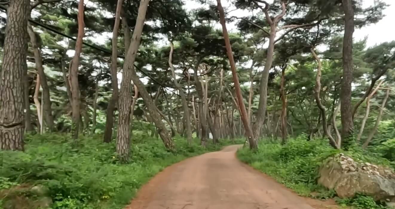 봉곡사