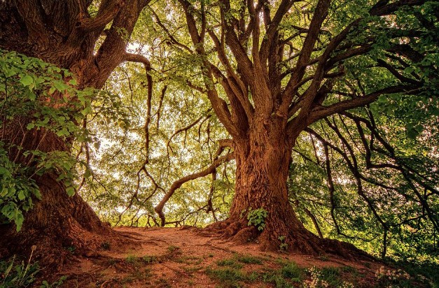 2023년 에너지바우처 지원금액 단가 인상