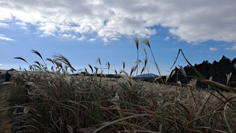 제주여행_산굼부리