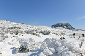 제주도 한라산