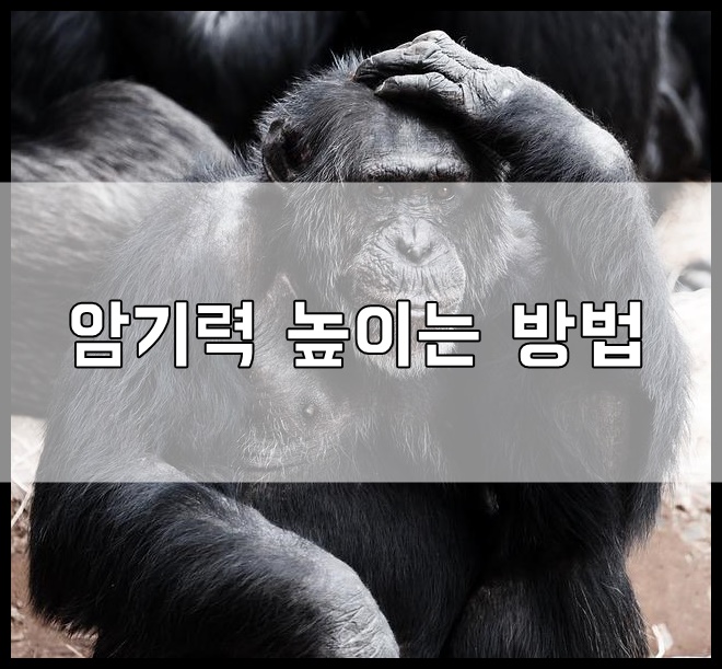 article thumbnail image