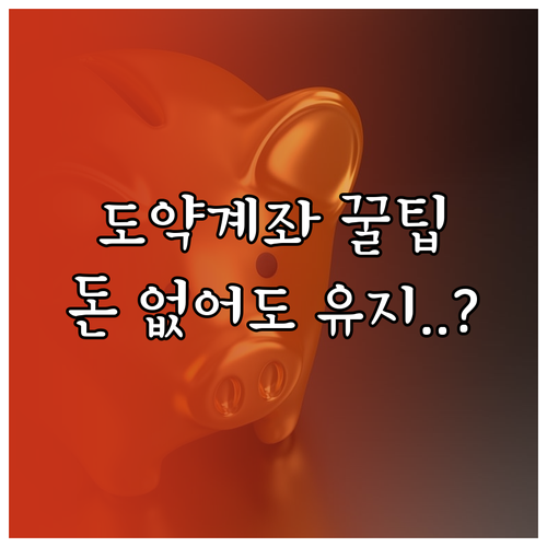 청년도약계좌 상황별 납입 금액 조절 ..