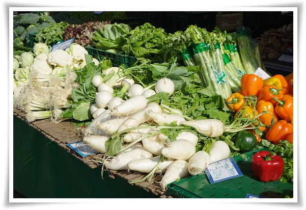 "김장 무, 직접 길러보세요!" 초보자도 성공할 수 있는 쉬운 재배 가이드!