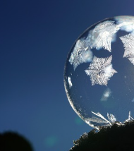 겨울철 무우보관법