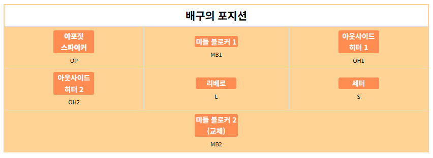 배구 아포짓 포지션