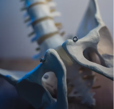 칼슘 영양제 먹는시간 효능 부작용