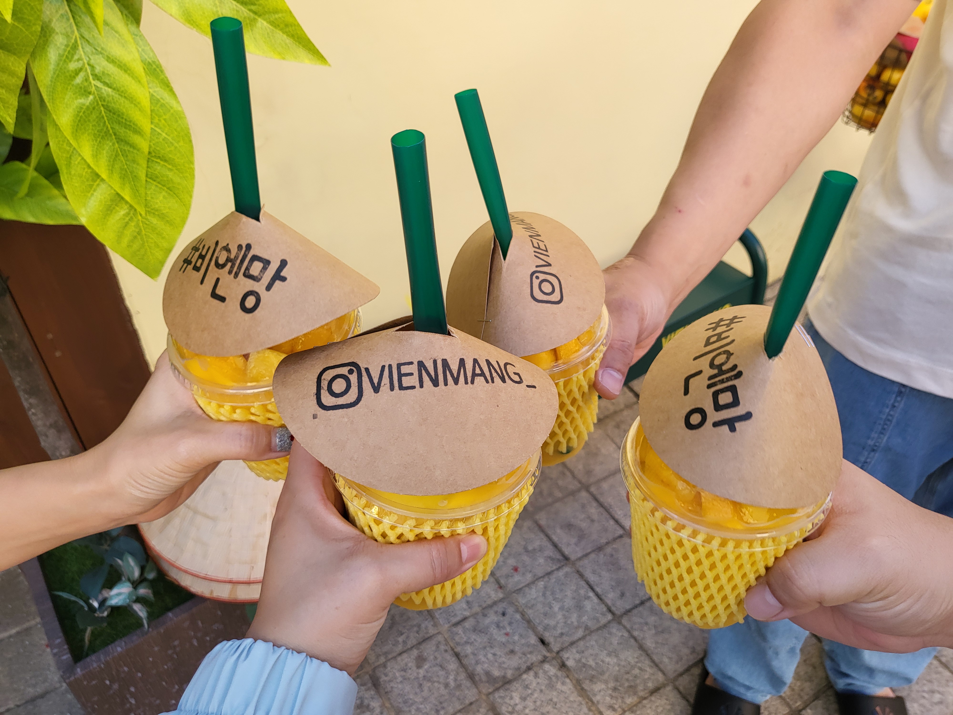 속초 비엔망 - 모임샷