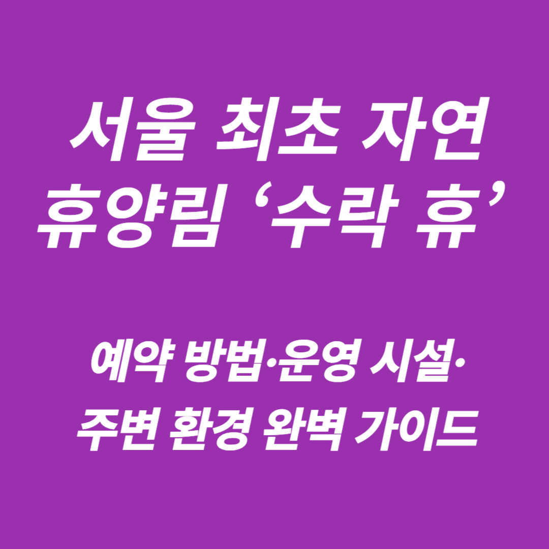 서울 자연휴양림 수락 휴