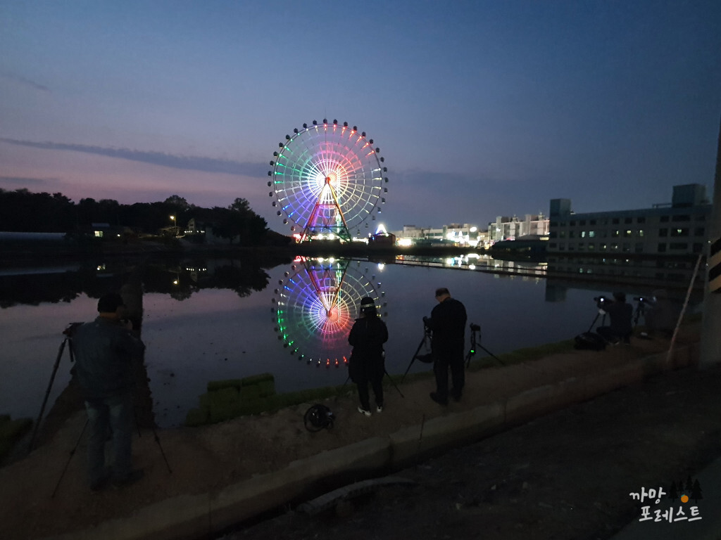 삽교호 관람차 야경
