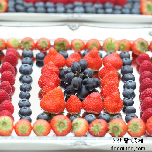 논산 딸기축제 일정 초대가수