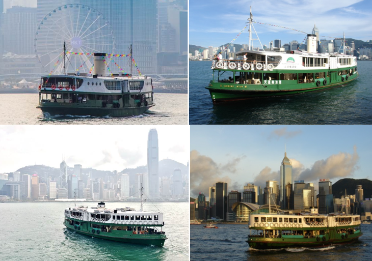 스타페리의 다양한 배 종류들 사진