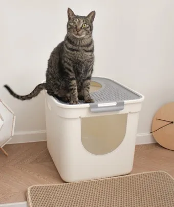 고양이 화장실 크기 대형 자동화장실 추천_9