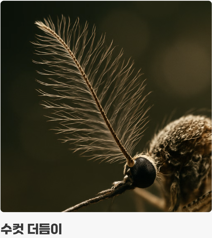 결정적인 단서, '더듬이'를 보라