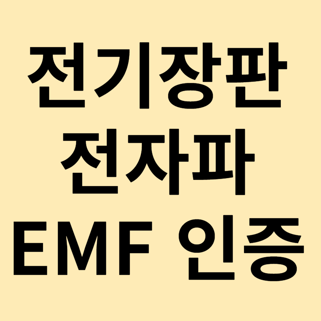 전기장판 EMF 임산부 전자파 단점