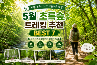 5월 초록숲 트레킹 추천 BEST 7, 신록이 가장 아름다운 걷기 좋은 길