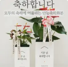 승진 진급 축하 메시지 모음