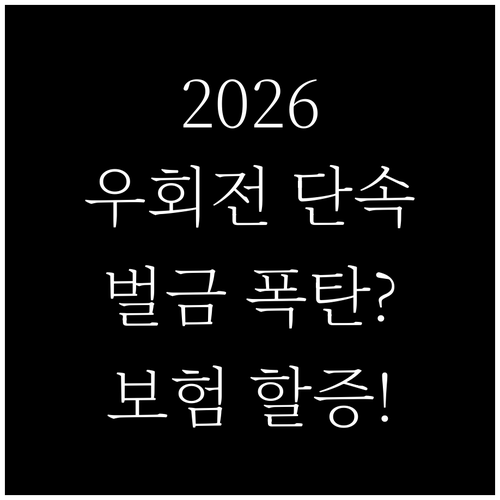 2026년 우회전 집중단속 벌금 및 ..