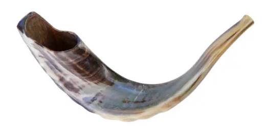 [쇼파르] Shofar:유대교 전통 뿔 나팔의 역사와 연주법
