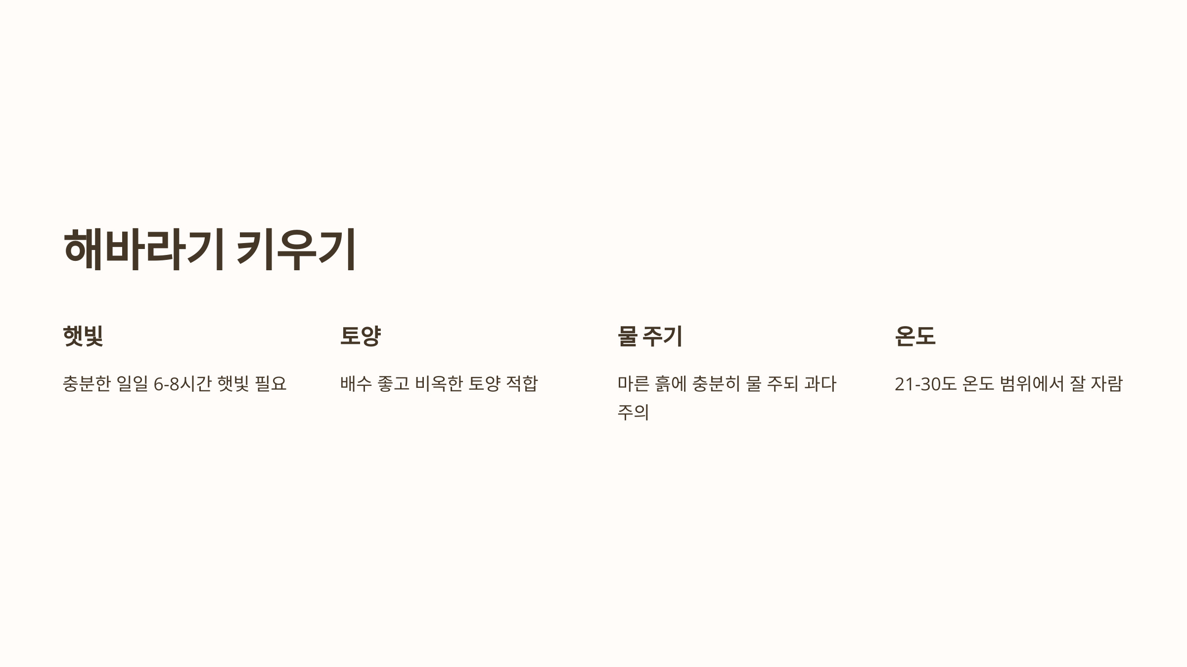 해바라기 사진입니다.